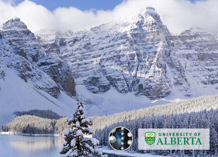 banff-news