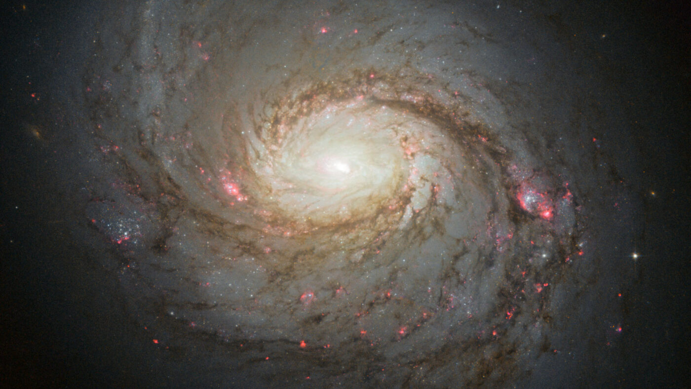 Hubble image of the spiral galaxy Messier 77, also known as NGC 1068.