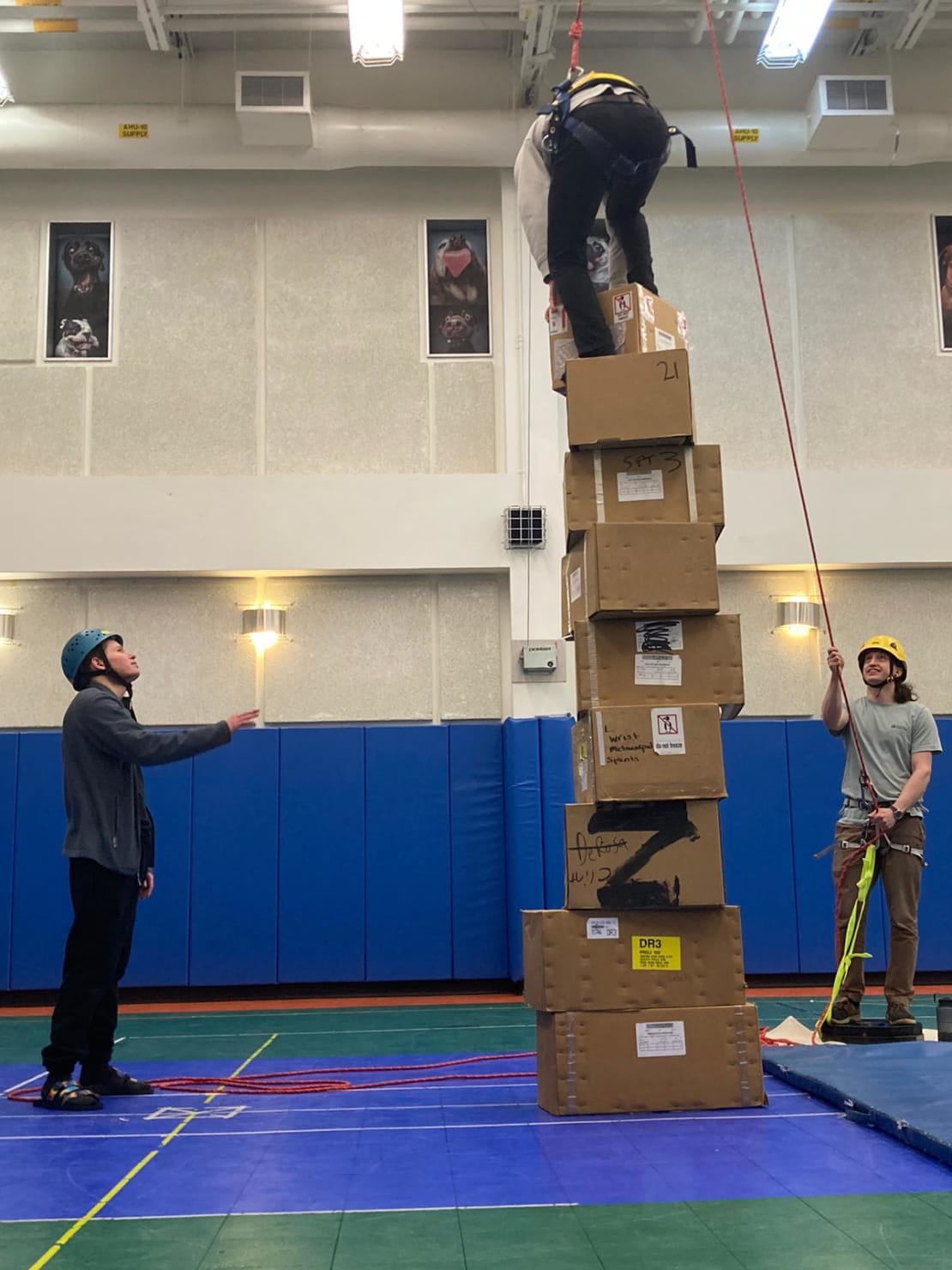 Person on top of tower of stacked boxes, roped up and being spotted by others.