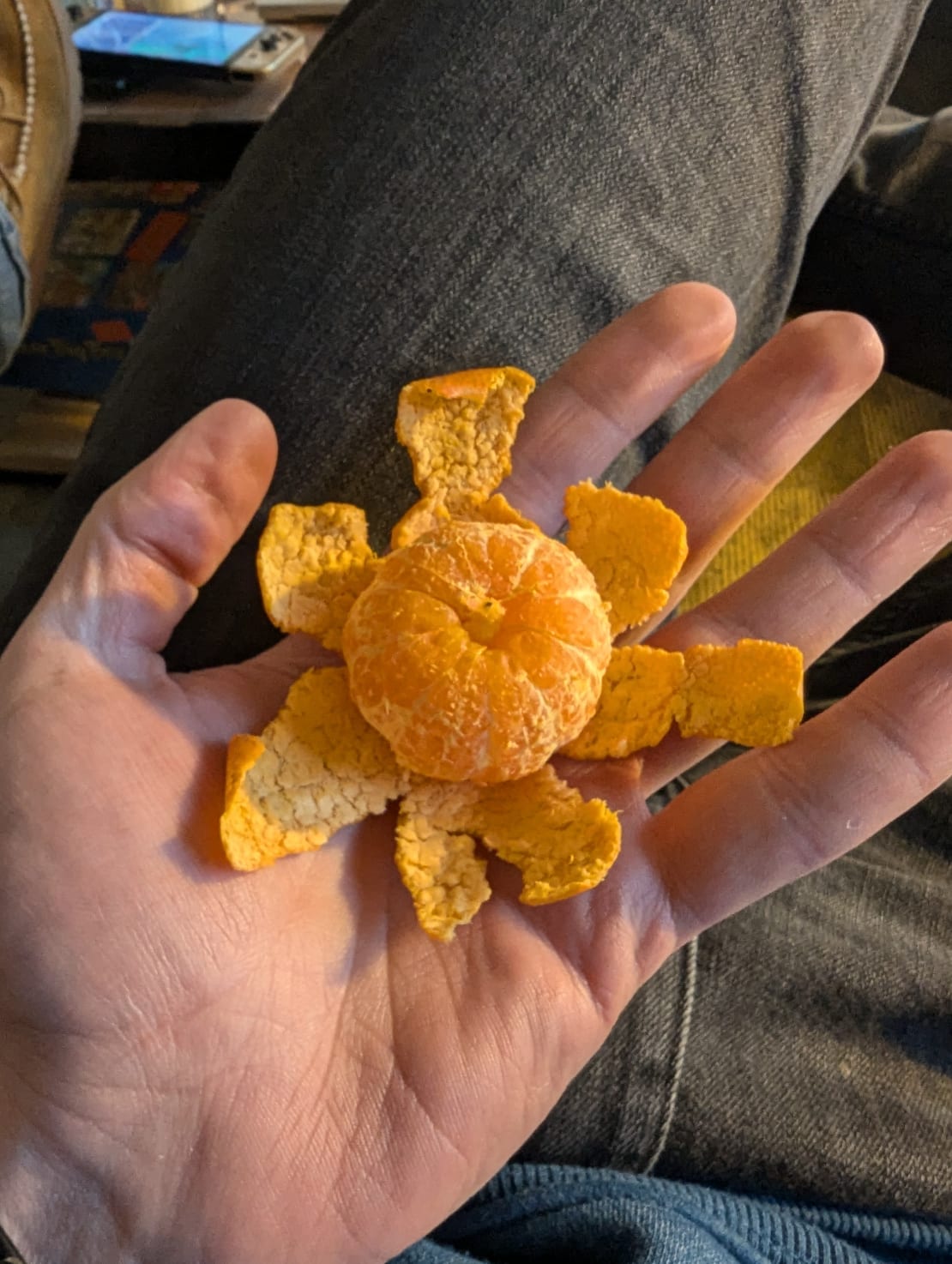 Close-up of a clementine opened with peel segments still attached at base underneath, looking like flower petals, in palm of someone’s hand.