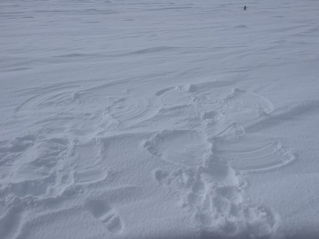 Two snow angels in the snow.