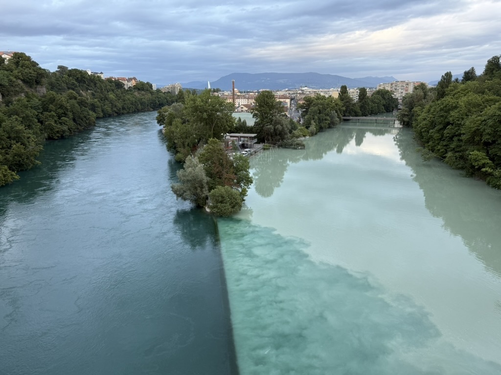 Two rivers meeting with trees around