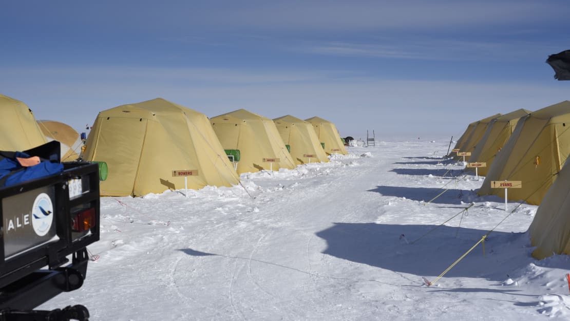 View down between two rows of yellow camping tents.