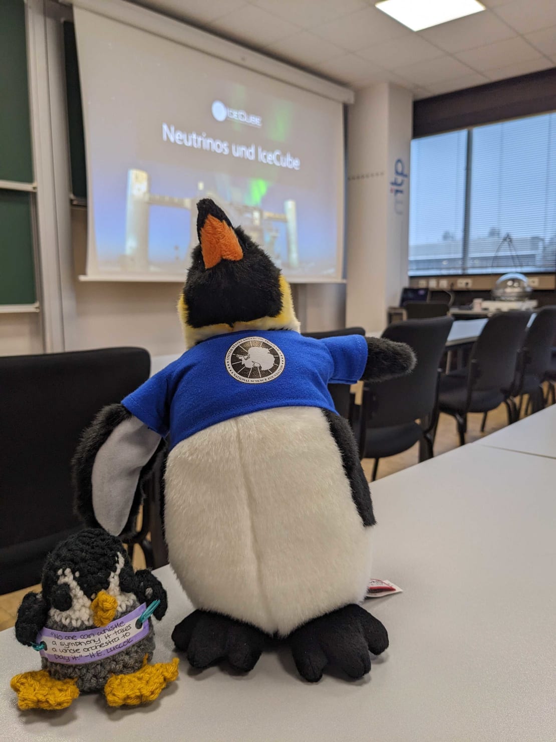 A penguin plushie with a t-shirt on top of a table in a classroom.