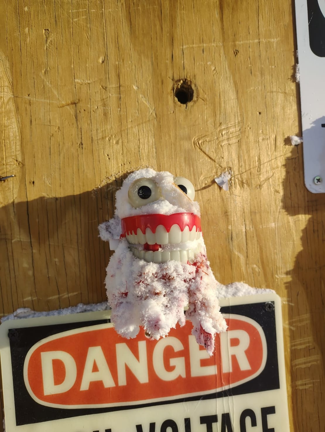 Small snow creature made from frozen mitten with plastic teeth and eyes inserted to create a face.